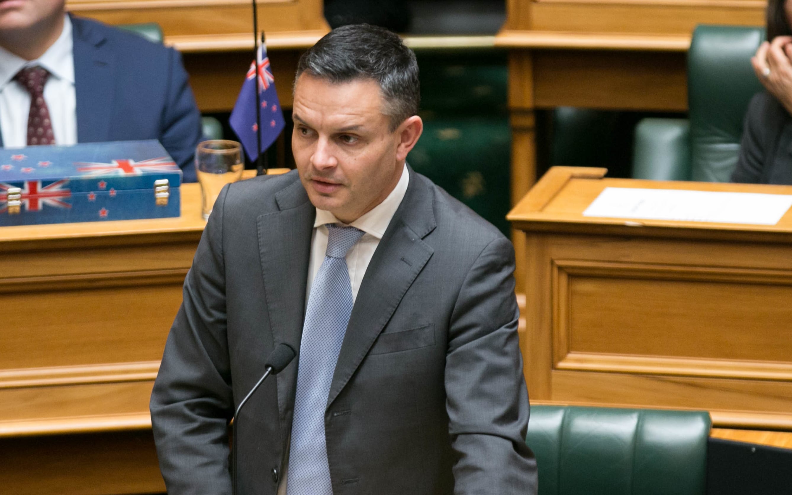 Green co-leader James Shaw 20 June 2017