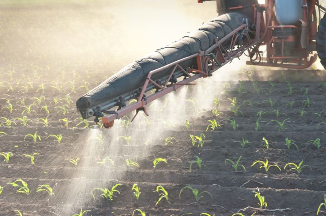 Tractor spreading fertiliser on corn crop