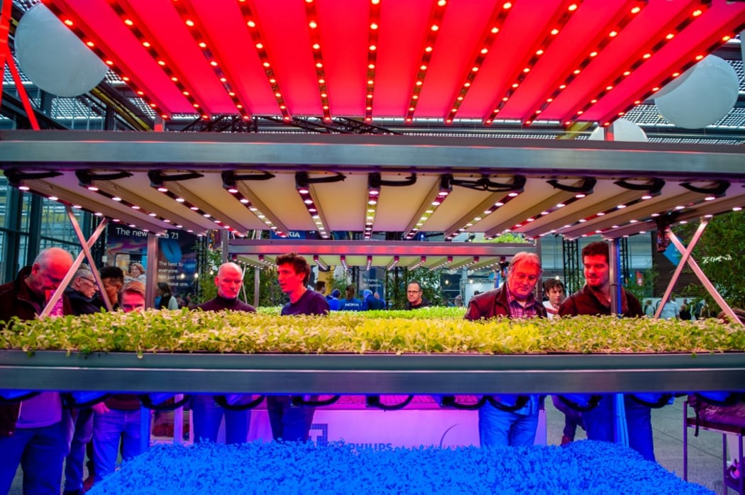 City Farming, the innovative farming technologies mean that plants can now be grown in indoor environments without sunlight.