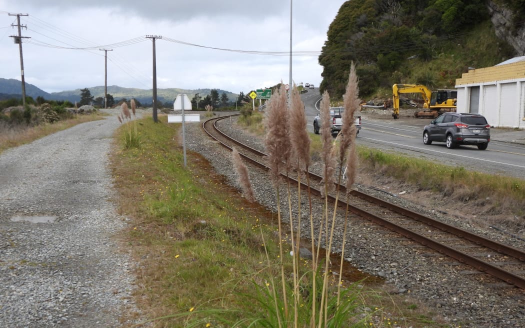 This pink flowering pampas, about 200m from the Greymouth CBD, is a common sight along the road and rail network in the area.