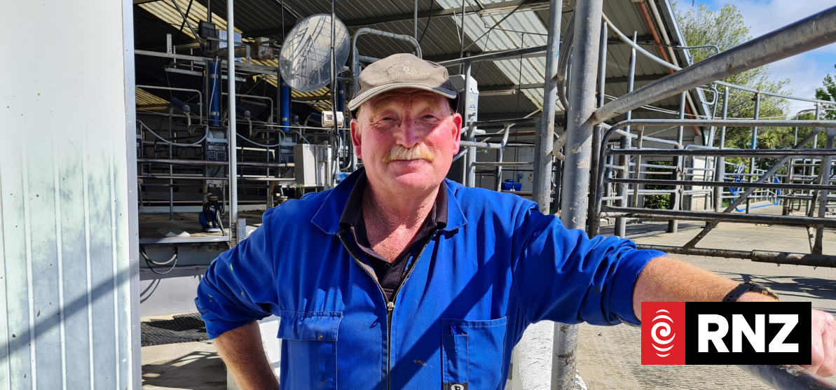Sustainable farming systems put to the test at university dairy | RNZ