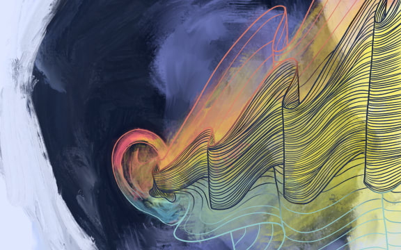 Chamber Music New Zealand 2020 Season