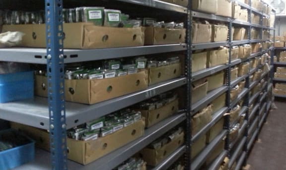 The word's largest public collection of vegetable seeds are held in a cold store held at the World Vegetable Centre seed vault in Taiwan.