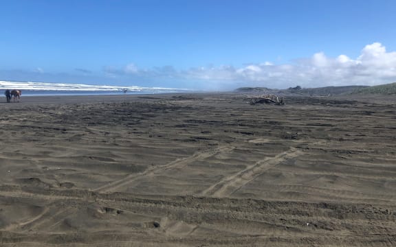 Landscape photo of Muriwai Beach, with vehicle tracks in the foreground.