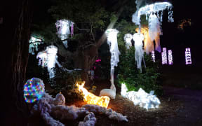 Nelson Intermediate School's installation Moana of Hope and Light, which explores our relationship with the ocean and plastic pollution at the Te Ramaroa light festival.