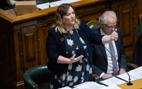 Nelson MP Rachel Boyack (Labour) answers MP's questions from the Table during the committee stage of her  Plain Language Bill.