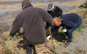 Locals volunteering with Southland Federated Farmers to help farmers in the aftermath of flooding across the region.