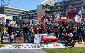 Around 100 people marched through the streets of Auckland’s Newmarket on Thursday, in opposition of David Seymours Treaty Principles Bill.