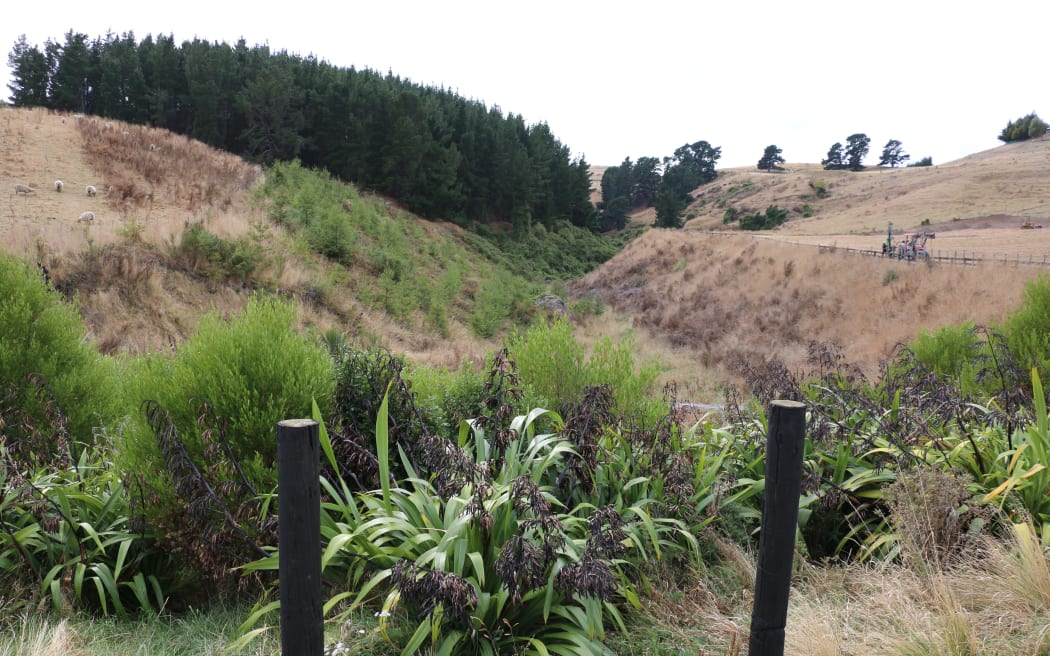 Stormwater dams near Tai Tapu