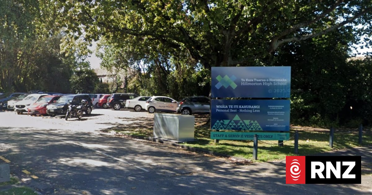 Christchurch's Hillmorton High School closes for two days after rats damage fibre cable