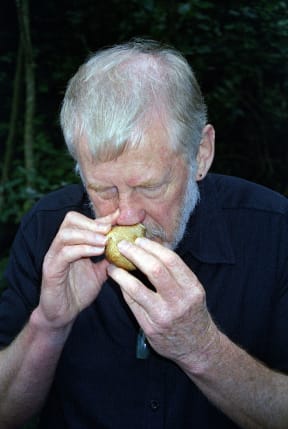 Kōauau Ponga Ihu