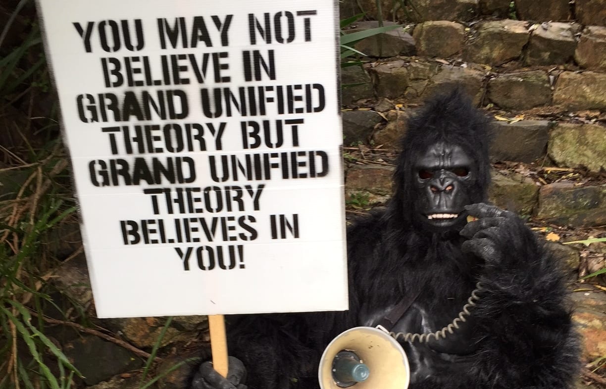 Sahelanthropus (Craig Hilton)