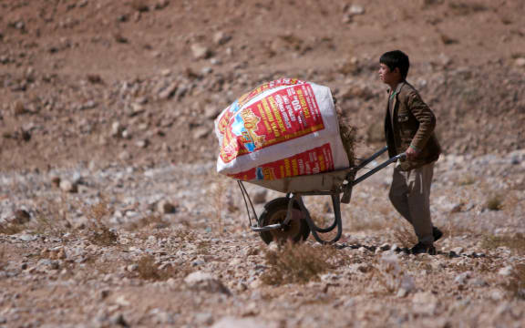 FORMER NZDF FIRING RANGE, BAMYAN — A boy crosses one of the ranges with a load of brushwood. Households in the villages surrounding the range are poor and many cannot afford electricity or gas so rely on the firewood.