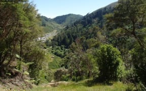 Brook Waimarama Sanctuary