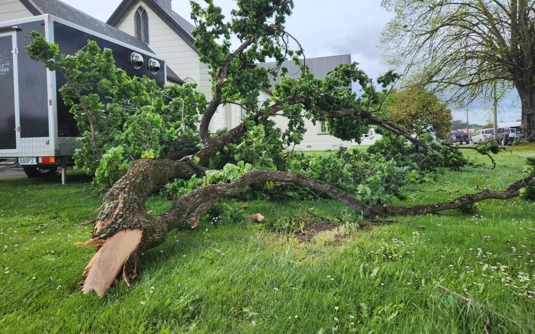A large branch fallen near a church in Carterton