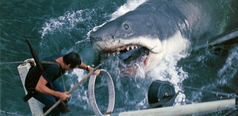 A scene from Jaws (1975).