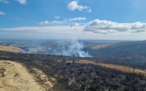 Photos at the fire ground in Kennedys Bush. Firefighter pictured is Ewen Peat - crew leader at High Country Fire Team