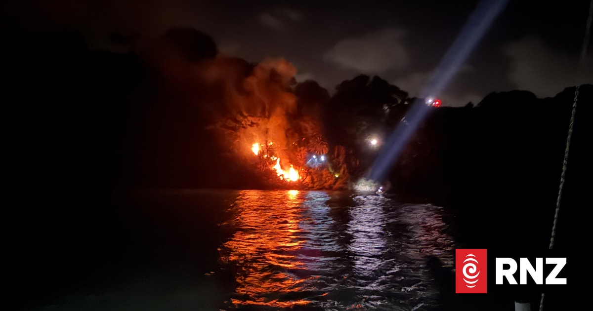 Fire crews keep blazes clear of billionaire Graeme Hart's Auckland estate