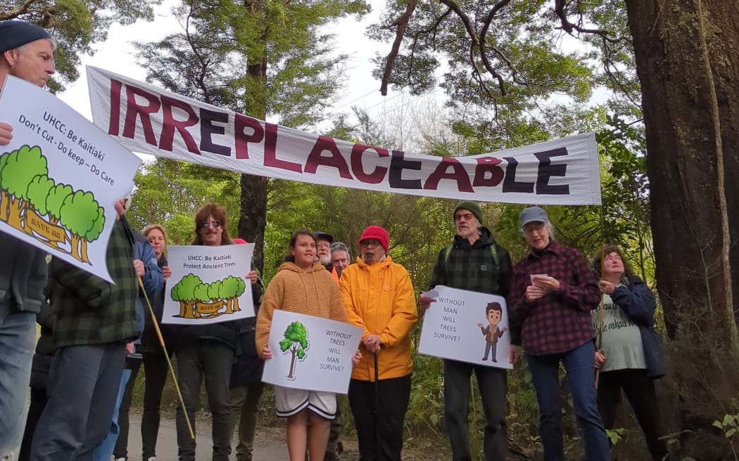 Residents and environmental advocates gathered on Sunday in a last ditch effort to bring attention to the plight of the trees which were removed the following day.