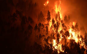 A forest in flames near the village of Mega Fundeira, Portugal, on 18 June.