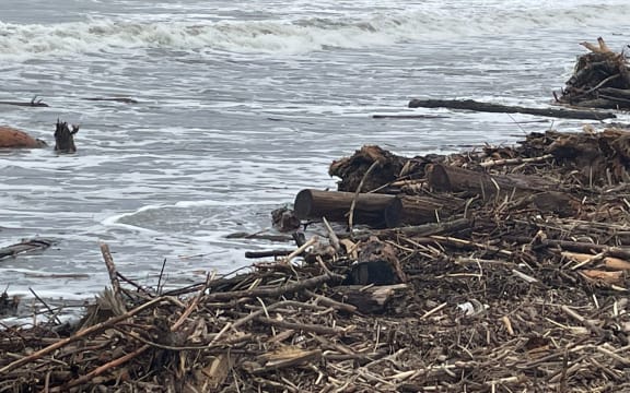 Forestry slash on the beach at Gisborne after Cyclone Gabrielle.