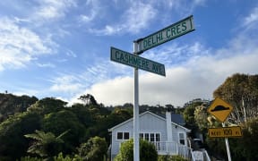 Cashmere Avenue in Khandallah.