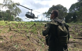 Policia watch over the destruction of a coca field in Colombia.