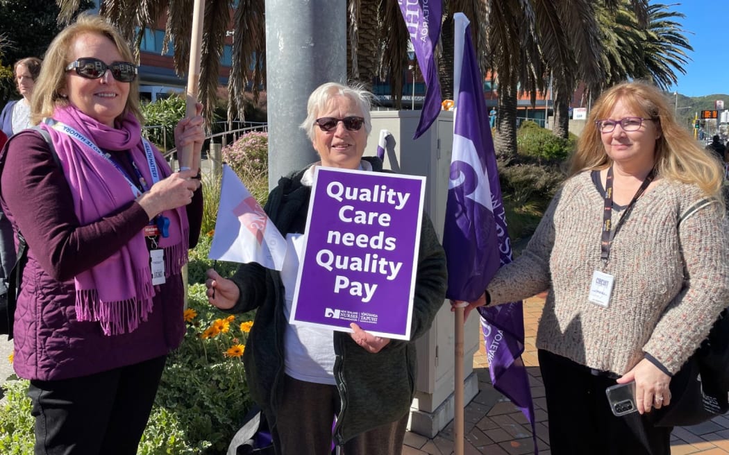 Protesters on the picket line in Wellington.