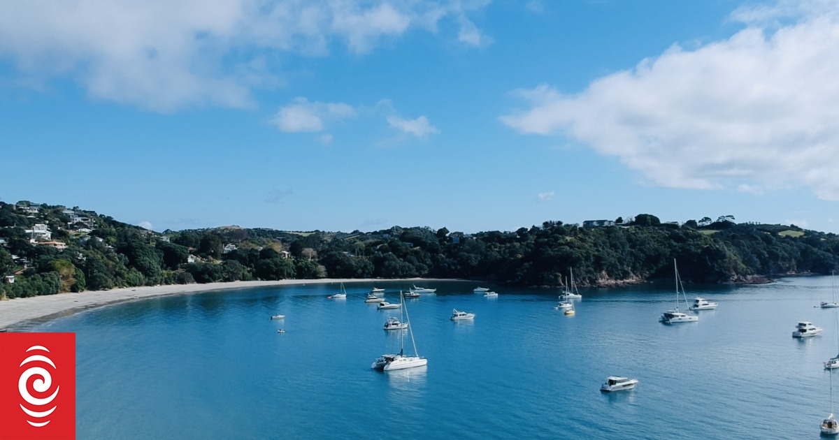 New Waiheke Island ferry service promises cheaper fares - Vimarsana News