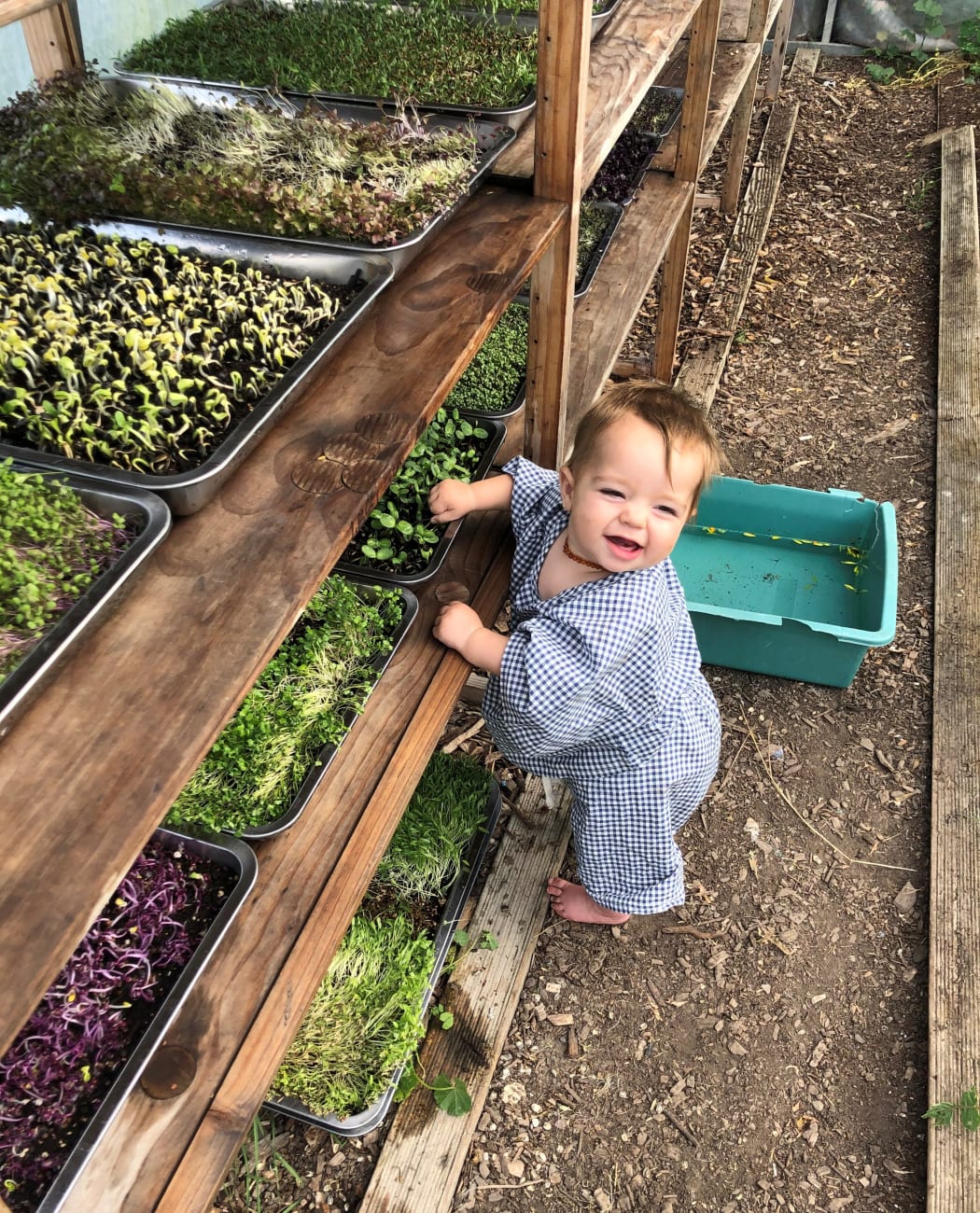 Dezzie has his own little set of gardening tools