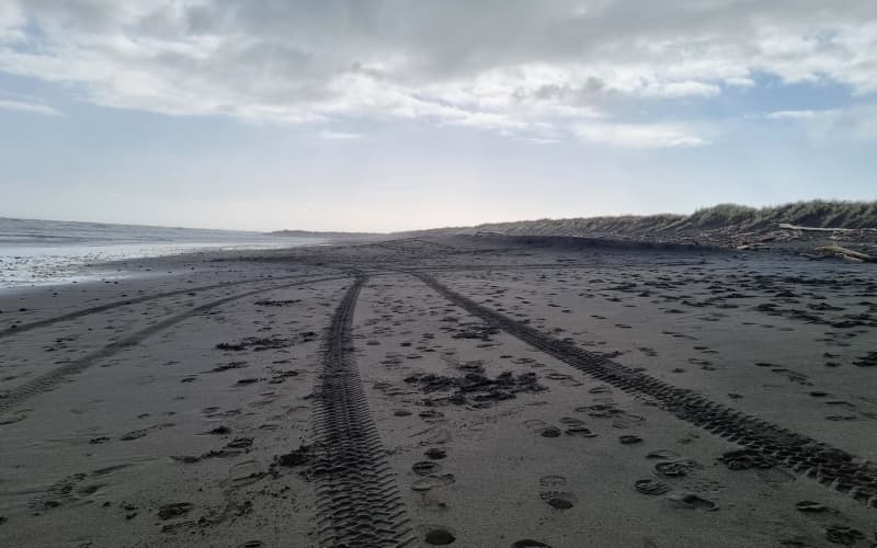 Police vehicle tracks on Fitzroy Beach where a body was found on Monday morning.