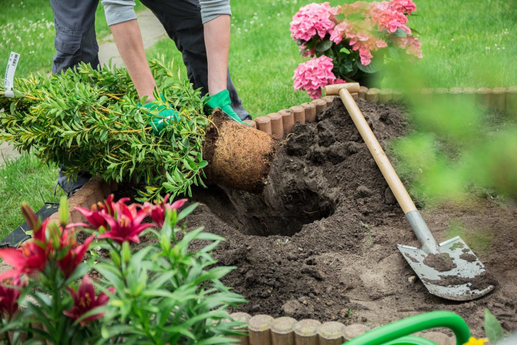 Gardener at work.