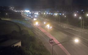 A tree that fell on the Southwestern Motorway in Onehunga.
