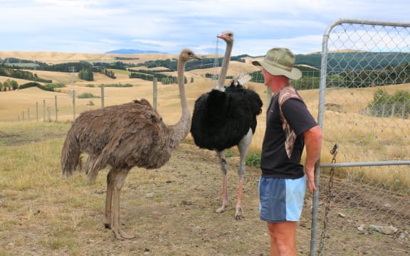 Ian Knowles has more than sheep and cattle on his North Canterbury farm