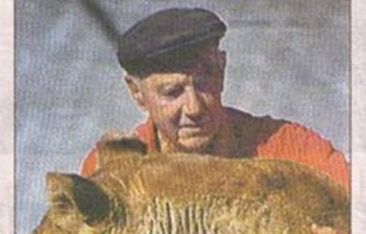 Bill Grey captured in the local paper before the closure of the North Beach Zoo.