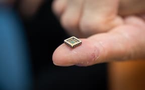 A tiny chip on a person's finger.