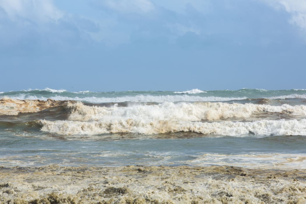 Muriwai Beach