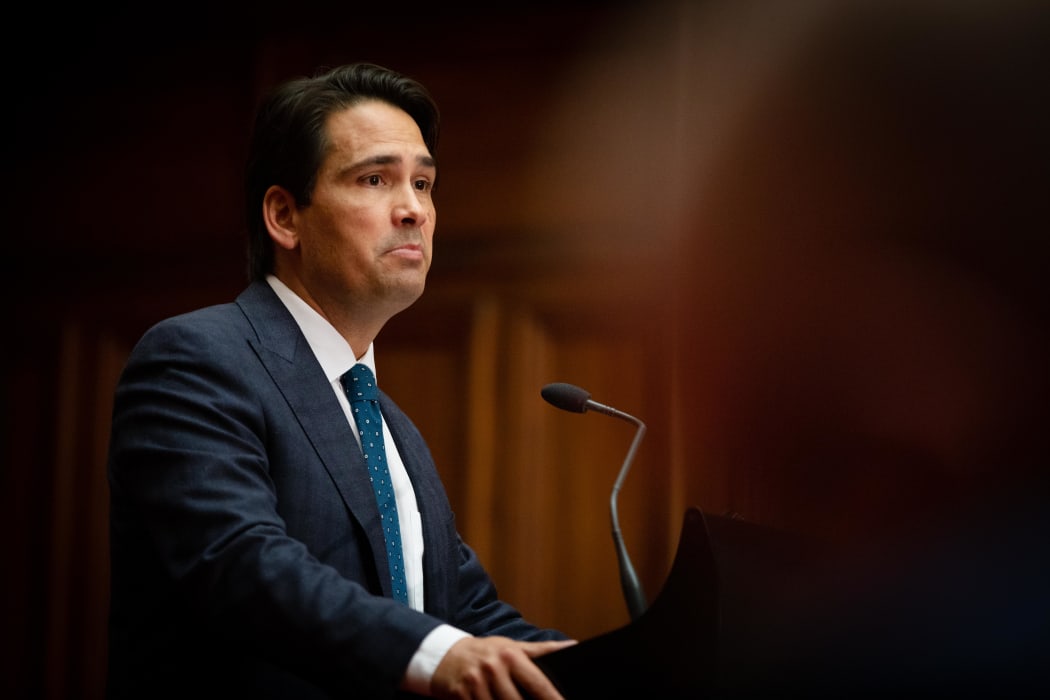 Simon Bridges addresses media after Judith Collins loses her leadership
