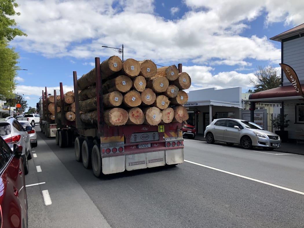 One business owner worried a bypass could take a lot of business out of Wairarapa's CBDs.