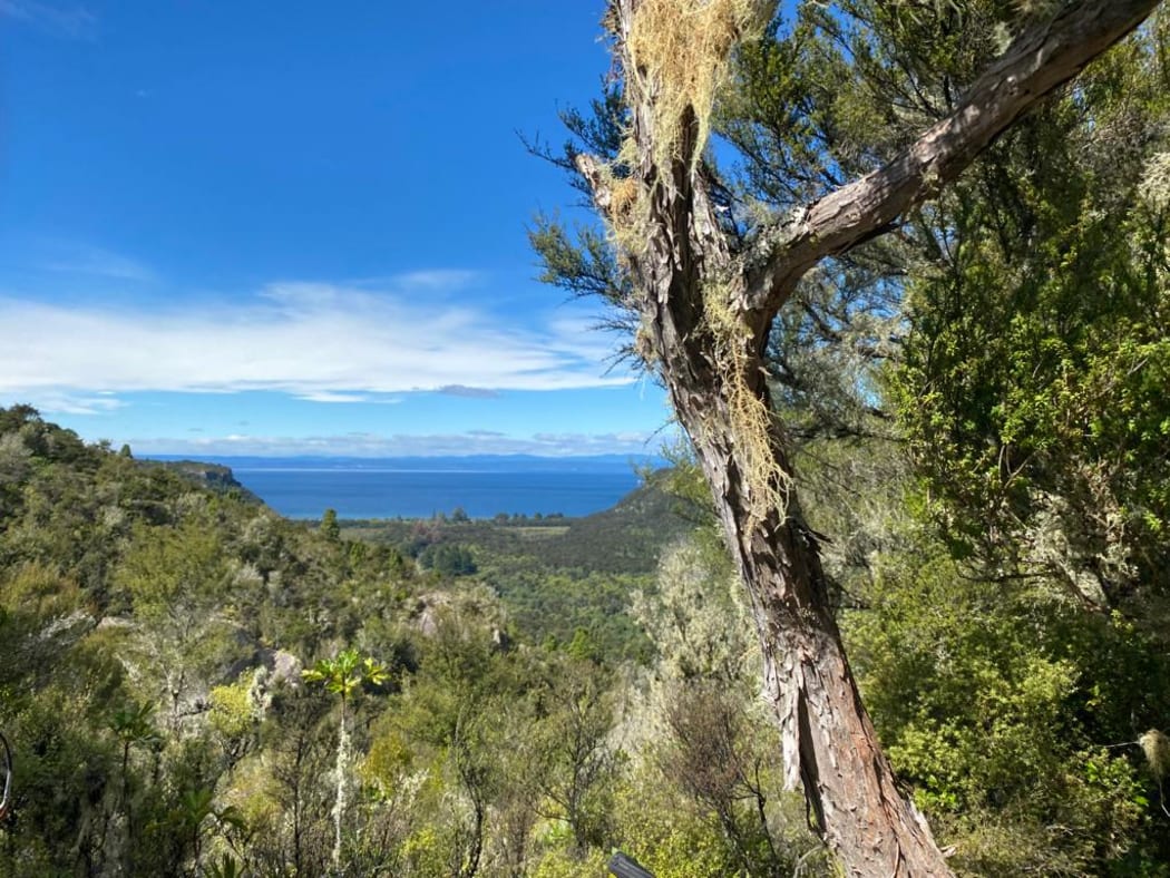 Lake Taupō