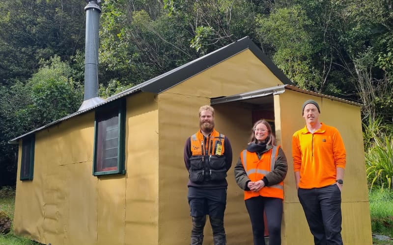 Project aims to eliminate every possum, rat and stoat from South ...