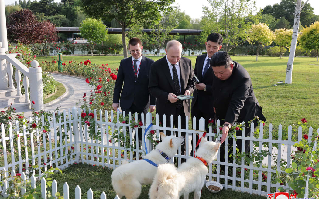 这张照片拍摄于 2024 年 6 月 19 日，并于 2024 年 6 月 20 日由朝鲜官方的朝鲜中央通讯社 (KCNA) 通过 KNS 发布，照片显示朝鲜领导人金正恩 (右) 在平壤锦绣山国宾馆的花园里向俄罗斯总统弗拉基米尔·普京 (左二) 赠送了一对狗。 (照片由 KCNA 通过 KNS / AFP 提供)/韩国 OUT/---编者注---仅限于编辑使用 - 必须注明出处 