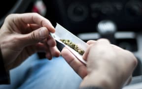 The Ministry of Health estimates about 130,000 New Zealanders use cannabis at least once a week, and in a 2015 survey one in three of them admitted driving stoned.