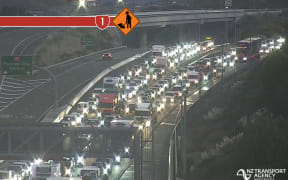 Traffic is backed up on State Highway 1, Wellington.