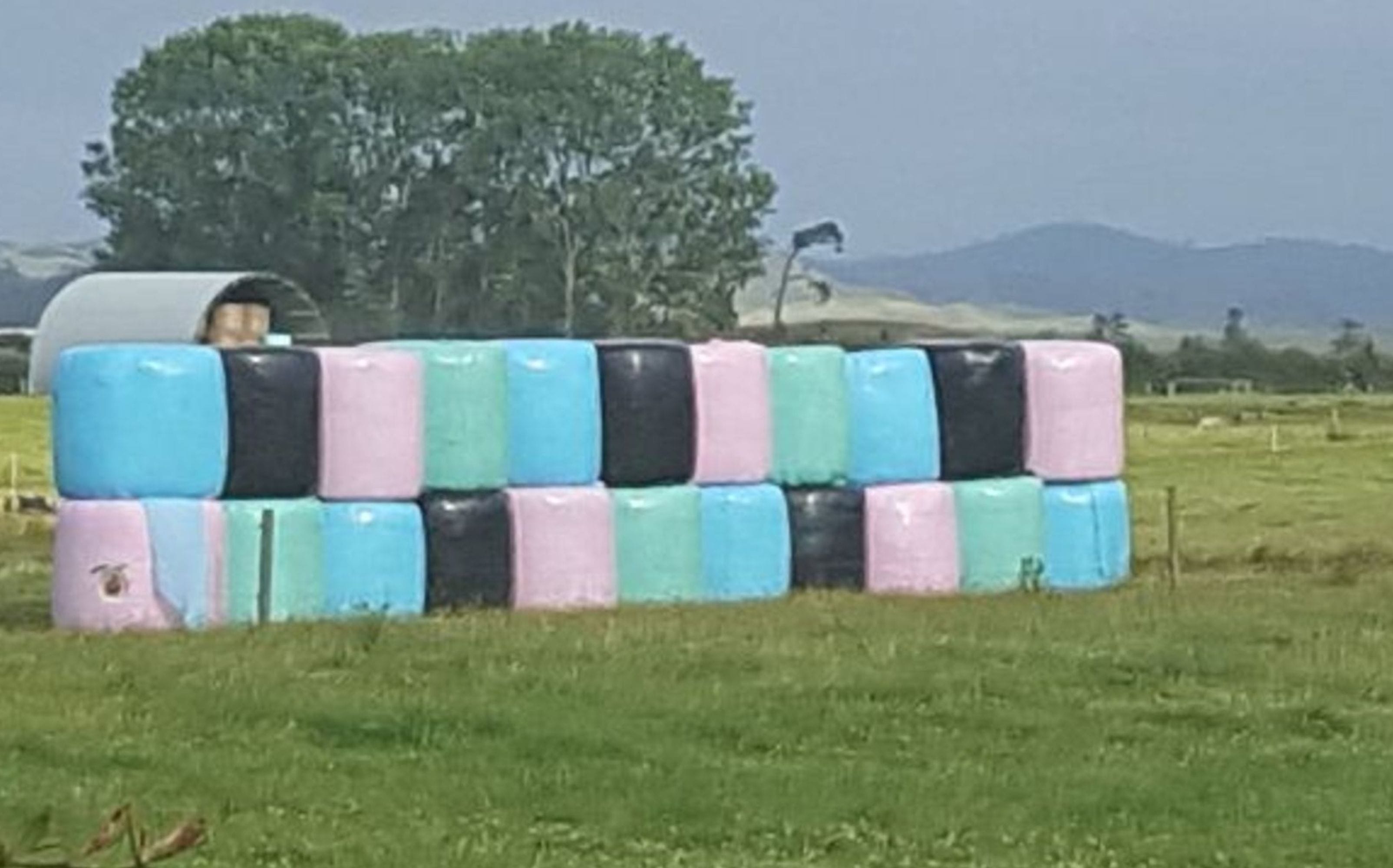 Multi coloured silage bales