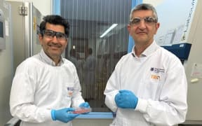 Dr Abbas and Professor Khosrotehrani in the lab at the Fraser Institute with a tray of their skin organids.