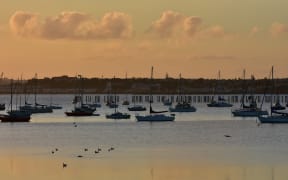 Sailboats on moorings in Okahu Bay in Auckland during sunset on calm day.