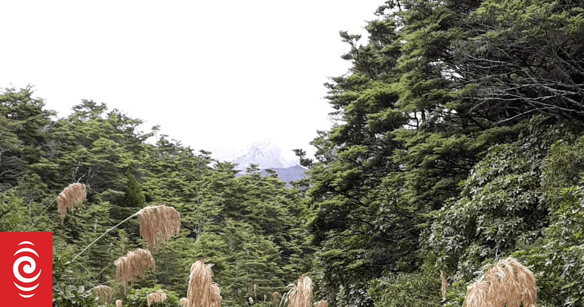 Hymns on Sunday, 11 January 2026