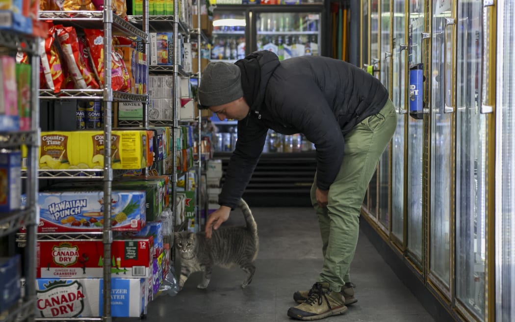 Guest Dan Rimada, founder of Bodega Cats of New York pets a cat named Ashley in a bodega corner store on December 17, 2025 in New York City. Thousands of felines live in New York’s corner shops, known as "bodegas," even though their presence is illegal. Praised for warding off pests, so-called bodega cats are also a cultural fixture for New Yorkers, some of whom are now pushing to enshrine legal rights for the little store helpers. (Photo by ANGELA WEISS / AFP)