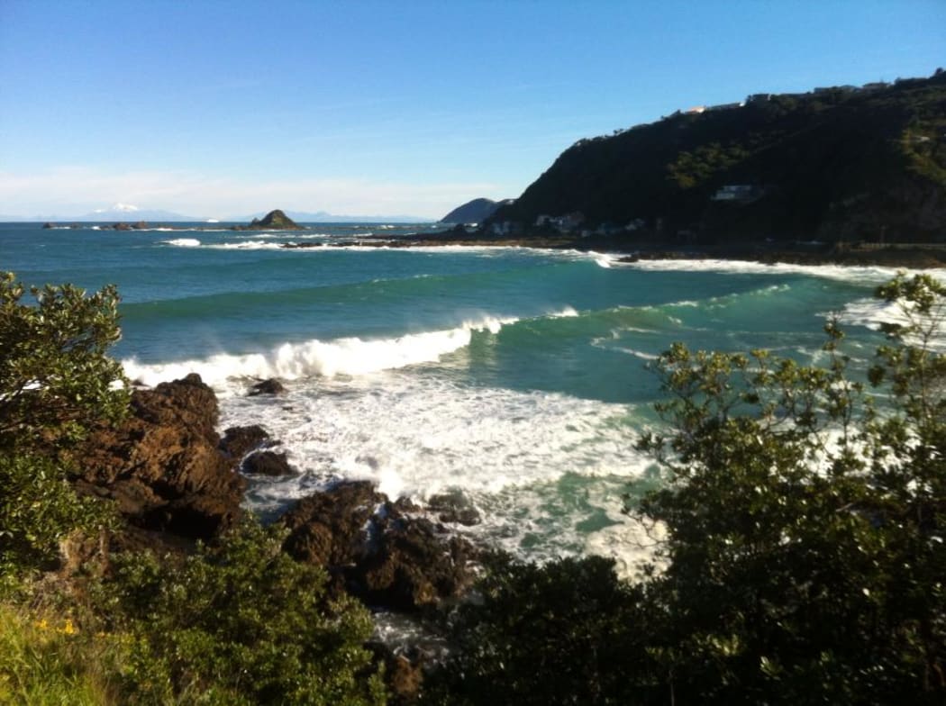 Houghton Bay, Wellington